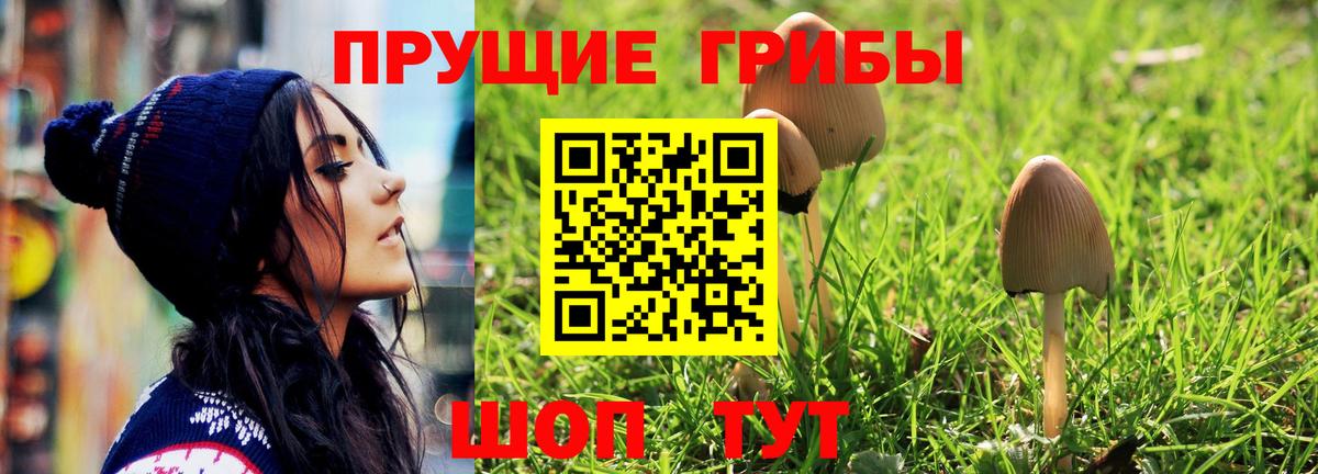 Шахты  Галлюциногенные грибы ЛСД  Псилоцибиновые грибы мицелий  Вход с VPN 