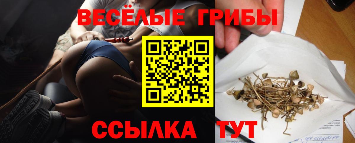 Галлюциногенные грибы ЛСД Шахты